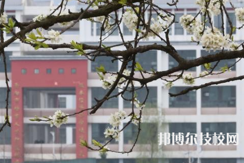 金沙中等職業(yè)學校2021年學費、收費多少