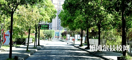 成都技師學(xué)院網(wǎng)站網(wǎng)址
