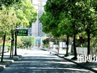 成都技師學(xué)院2023年網(wǎng)站網(wǎng)址