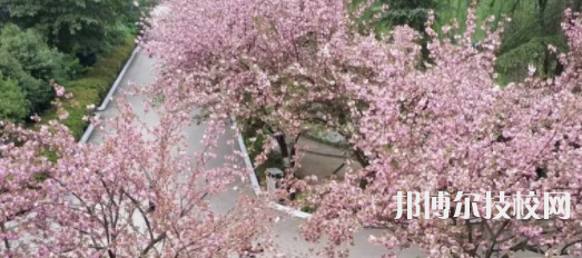 成都現(xiàn)代制造職業(yè)技術(shù)學(xué)校怎么樣、好不好