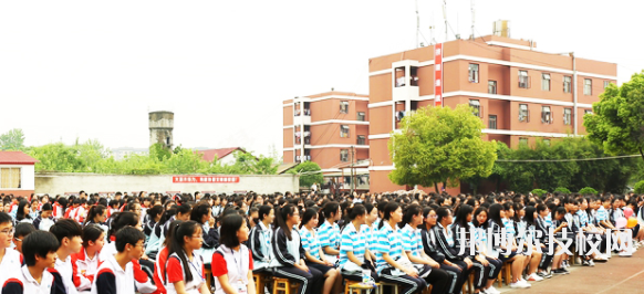 成都天府職業(yè)技術(shù)學(xué)校網(wǎng)站網(wǎng)址