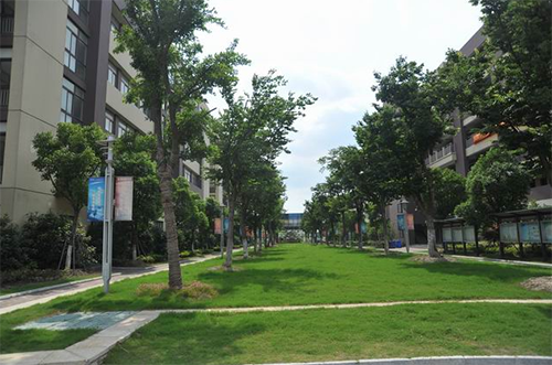昆山花橋國(guó)際商務(wù)城中等專業(yè)學(xué)校2021年有哪些專業(yè)