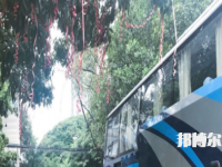 南寧信息工程職業(yè)技術(shù)學(xué)校2023年報名條件、招生要求、招生對象