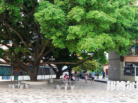 廣西交通技師學(xué)院2023年有哪些專業(yè)