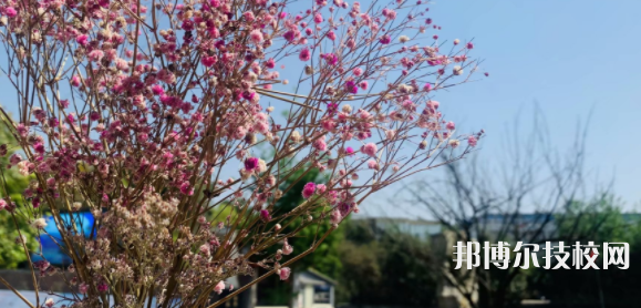 成都華大醫(yī)藥衛(wèi)生學(xué)校地址在哪里