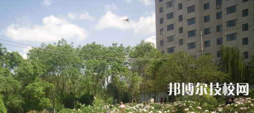 甘肅省武威市涼州區(qū)職業(yè)中等專業(yè)學校2021年有哪些專業(yè)