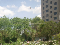 甘肅省武威市涼州區(qū)職業(yè)中等專業(yè)學(xué)校2021年招生辦聯(lián)系電話
