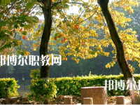 廣西民族中等專業(yè)學校2023年怎么樣、好不好