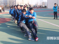 涿州天藝中等專業(yè)學校2023年招生錄取分數(shù)線
