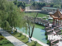 南寧衛(wèi)生學(xué)校地址在哪里