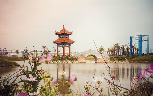 江蘇阜寧中等專業(yè)學(xué)校網(wǎng)站網(wǎng)址