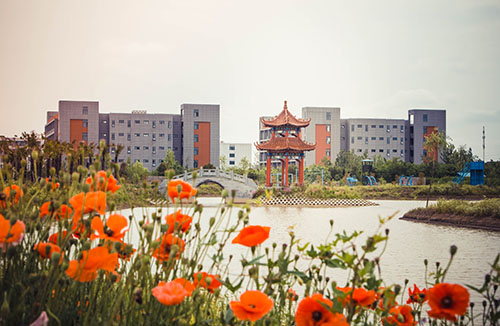 江蘇阜寧中等專業(yè)學校怎么樣、好不好
