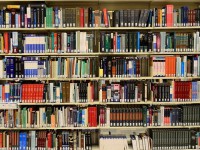 廣西華僑學校2023年招生計劃