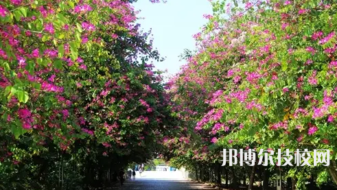 黔南中等職業(yè)技術(shù)學(xué)校2021年報(bào)名條件、招生要求、招生對象