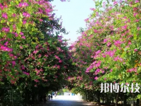 黔南中等職業(yè)技術(shù)學(xué)校2023年報名條件、招生要求、招生對象