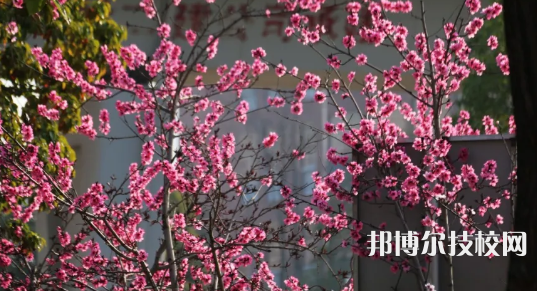 黔南中等職業(yè)技術(shù)學(xué)校網(wǎng)站網(wǎng)址 