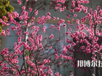 黔南中等職業(yè)技術(shù)學(xué)校2023年網(wǎng)站網(wǎng)址