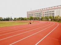 紹興市中等專業(yè)學(xué)校2021年招生錄取分數(shù)線
