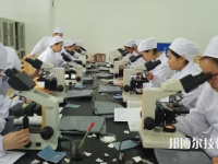 定州衛(wèi)生中等專業(yè)學校2023年報名條件、招生要求、招生對象