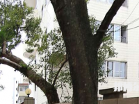 廣西烹飪學校2023年網站網址