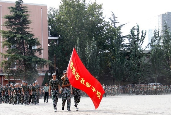 邯鄲農(nóng)業(yè)學(xué)校2021年招生錄取分?jǐn)?shù)線