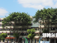 梧州電子科技職業(yè)技術(shù)學(xué)校2023年招生簡章