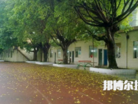 梧州電子科技職業(yè)技術(shù)學(xué)校2023年地址在哪里