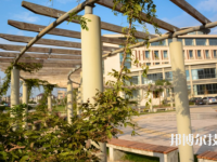 嘉善信息技術(shù)工程學(xué)校2021年有哪些專業(yè)