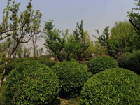 合肥??竹稞技工學(xué)校2023年招生計(jì)劃