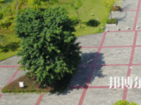 富順特殊教育學(xué)校2023年招生辦聯(lián)系電話