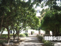 博白職業(yè)中等專業(yè)學校2023年怎么樣、好不好