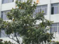 四川自貢倍樂職業(yè)技術(shù)學(xué)校2023年報名條件、招生要求、招生對象