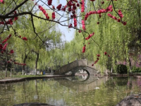 滁州市應(yīng)用技術(shù)學(xué)校2023年招生錄取分?jǐn)?shù)線