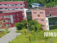富順職業(yè)技術(shù)學校2023年招生錄取分數(shù)線