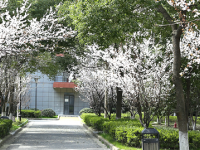 寧波技師學(xué)院2021年學(xué)費、收費多少