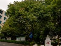 貴州鐵路技師學(xué)校2023年招生錄取分?jǐn)?shù)線