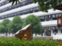 廣西右江民族商業(yè)學(xué)校2023年有哪些專業(yè)