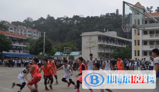 廣西右江民族商業(yè)學校網站網址 