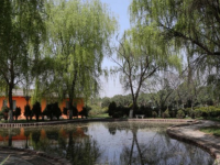 滁州市旅游商貿(mào)學校2021年招生計劃