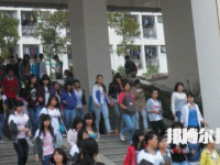 百色財(cái)經(jīng)職業(yè)技術(shù)學(xué)校2023年報(bào)名條件、招生要求、招生對(duì)象