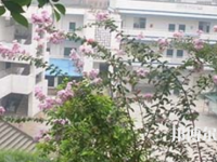 榮縣樂德職業(yè)中學(xué)校2023年招生簡章