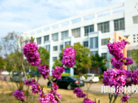 諸暨市職業(yè)教育中心2021年招生辦聯(lián)系電話