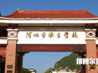 河池衛(wèi)生學(xué)校2023年地址在哪里
