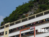 河池衛(wèi)生學(xué)校2023年網(wǎng)站網(wǎng)址
