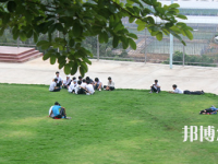 攀枝花華森職業(yè)學(xué)校2023年有哪些專業(yè)