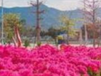 攀枝花衛(wèi)生學(xué)校2023年招生計(jì)劃