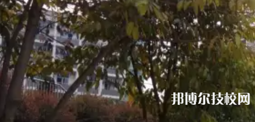 四川敘永縣職業(yè)高級中學(xué)校2021年學(xué)費、收費多少