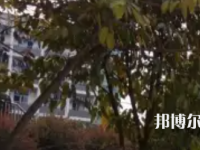 四川敘永縣職業(yè)高級(jí)中學(xué)校2023年學(xué)費(fèi)、收費(fèi)多少