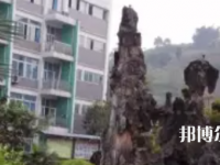 四川敘永縣職業(yè)高級(jí)中學(xué)校2023年報(bào)名條件、招生要求、招生對(duì)象