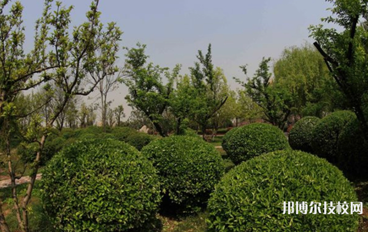QQ截圖20210224150410